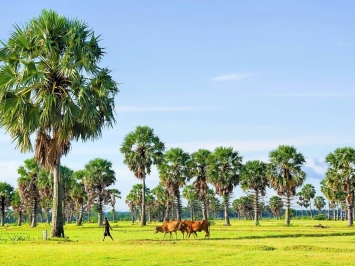 An Giang Mùa Nước Nổi
